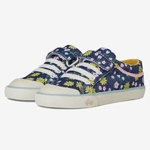 71QtRhvbcxL._AC_SR330,340_SR350,350,1,B_BR-10_